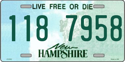 NH license plate 1187958