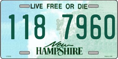NH license plate 1187960