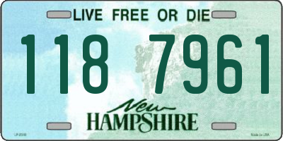 NH license plate 1187961