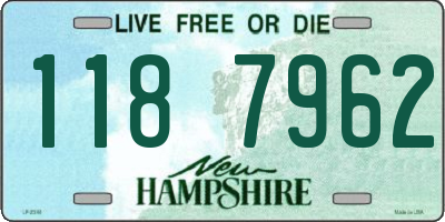 NH license plate 1187962