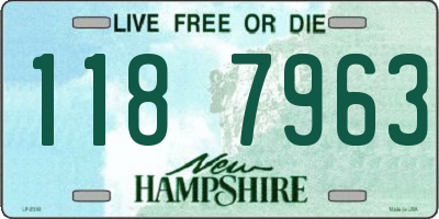NH license plate 1187963