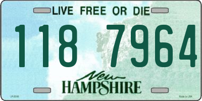 NH license plate 1187964