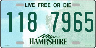 NH license plate 1187965