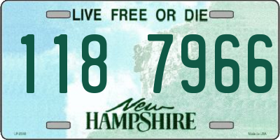 NH license plate 1187966