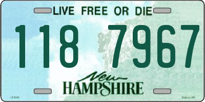 NH license plate 1187967