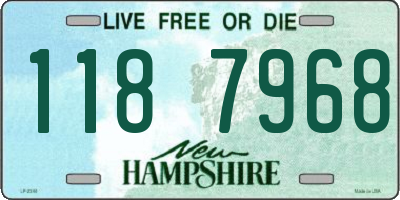 NH license plate 1187968