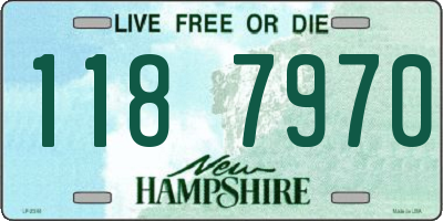 NH license plate 1187970