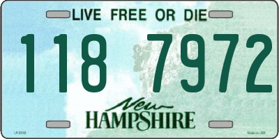 NH license plate 1187972