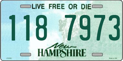 NH license plate 1187973