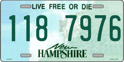 NH license plate 1187976