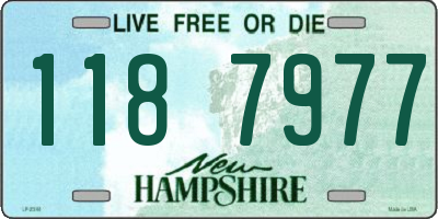 NH license plate 1187977