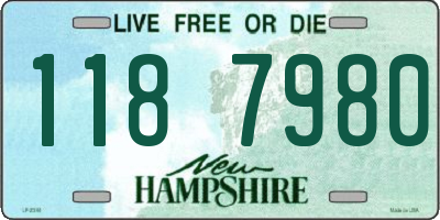 NH license plate 1187980