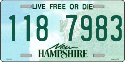 NH license plate 1187983