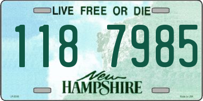 NH license plate 1187985