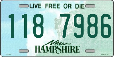 NH license plate 1187986