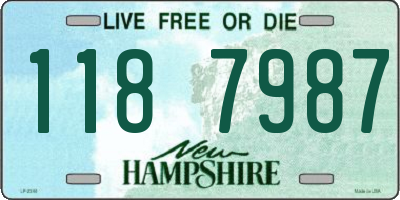 NH license plate 1187987