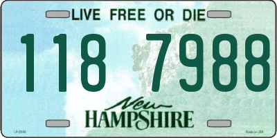 NH license plate 1187988