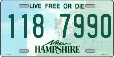 NH license plate 1187990