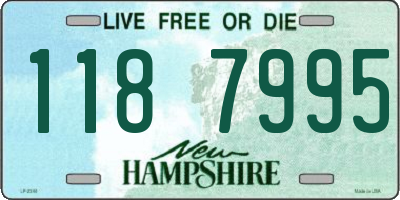 NH license plate 1187995
