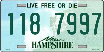 NH license plate 1187997