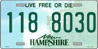 NH license plate 1188030