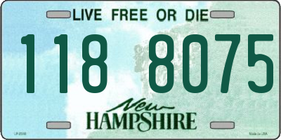 NH license plate 1188075