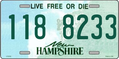 NH license plate 1188233