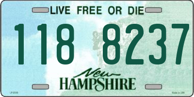 NH license plate 1188237