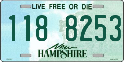 NH license plate 1188253