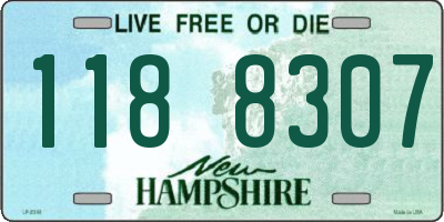 NH license plate 1188307