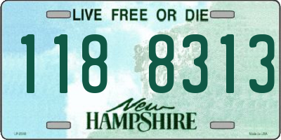 NH license plate 1188313