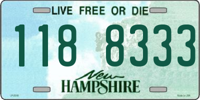 NH license plate 1188333