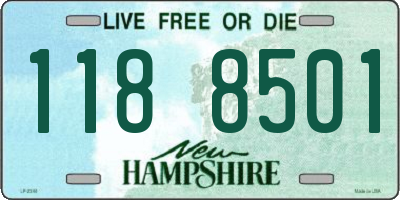 NH license plate 1188501