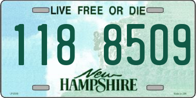 NH license plate 1188509