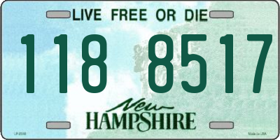 NH license plate 1188517