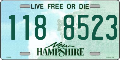 NH license plate 1188523