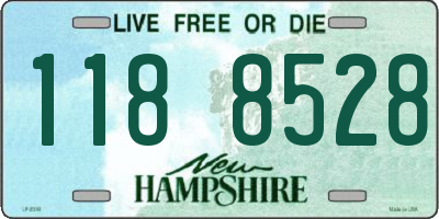 NH license plate 1188528