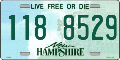 NH license plate 1188529