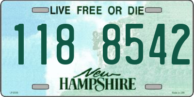 NH license plate 1188542