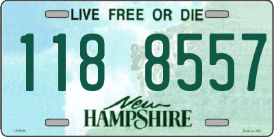 NH license plate 1188557