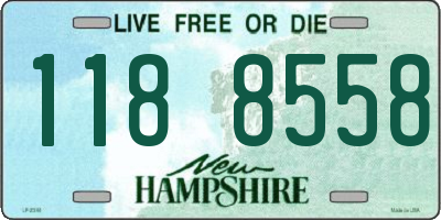 NH license plate 1188558