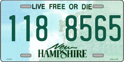 NH license plate 1188565