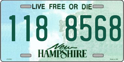 NH license plate 1188568
