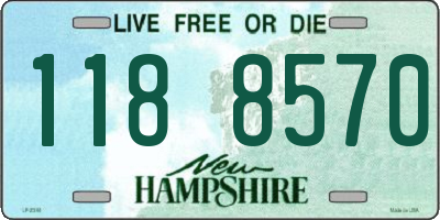 NH license plate 1188570