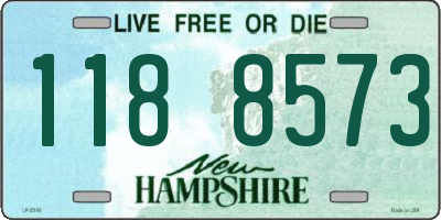 NH license plate 1188573