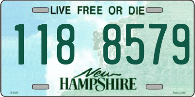 NH license plate 1188579
