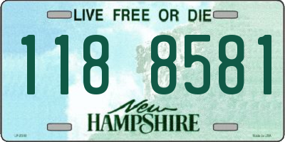 NH license plate 1188581