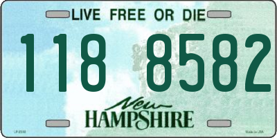 NH license plate 1188582