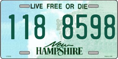 NH license plate 1188598