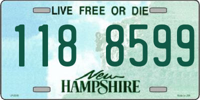 NH license plate 1188599